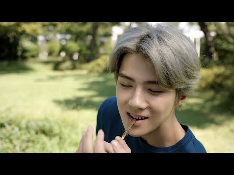 ペペロ(韓国のポッキー) CM集 【EXO】【KARA】 KOREAN EATING COMMERCIAL