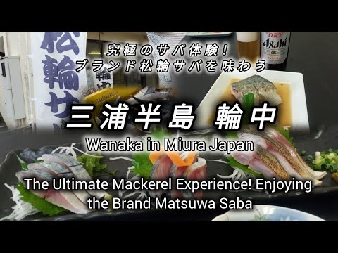 【Brand Mackerel】The Charm of Matsuwa Saba / The Secret of Deliciousness【ブランド鯖】松輪サバの魅力/美味しさの秘密に迫る