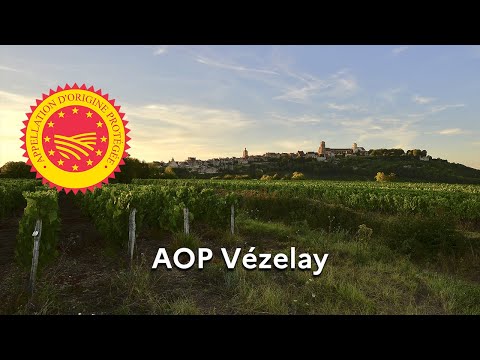 « Vézelay » reconnu en Appellation d’origine protégée (AOP)