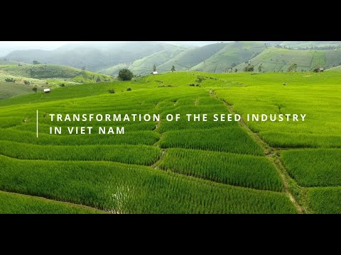 Transformation of the seed sector in Viet Nam