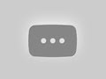 TMIN News 19: Fees