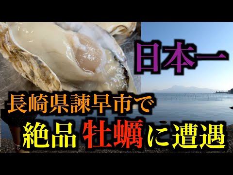 日本一！長崎県諫早市で『絶品の牡蠣』に出会う