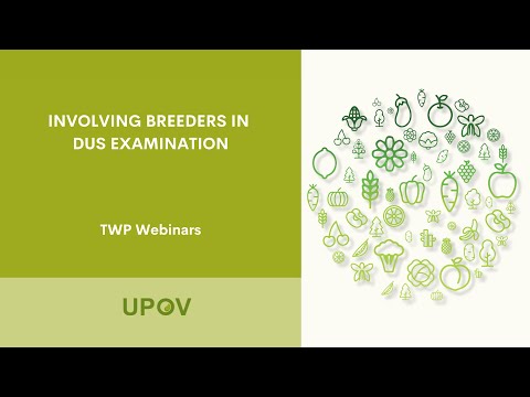 Involving breeders in DUS Examination