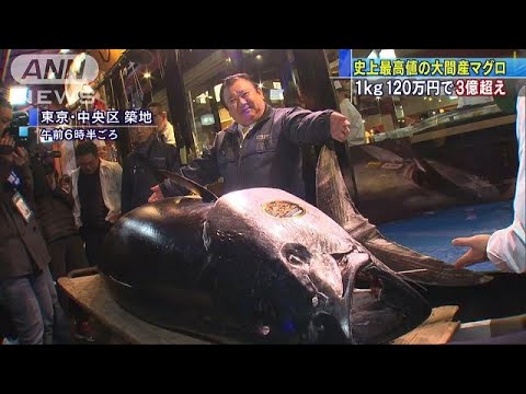 大間の本マグロに3億3360万円　豊洲市場で初競り(19/01/05)