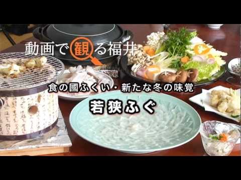 動画で観る福井　食の國ふくい・新たな冬の味覚「若狭ふぐ」