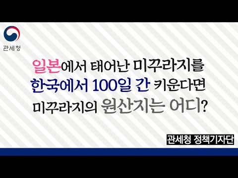 일본에서 난 미꾸라지를 한국에서 100일 간 키우면 원산지는?