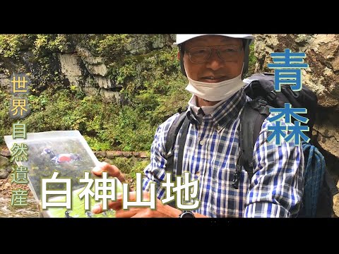 【世界自然遺産白神山地】ガイドと巡る！青森おすすめコース