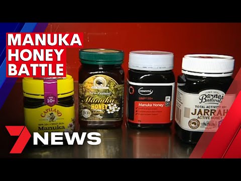 Australian bee jobs at risk amid fight over manuka honey trademark rights | 7NEWS