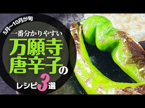 【万願寺唐辛子】今食べてほしい魅力と食べ方、美味しいレシピ３選