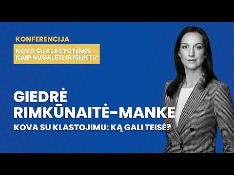 #RinkisKasTikra Giedrė Rimkūnaitė - Manke: Kova su klastojimu: ką gali teisė?