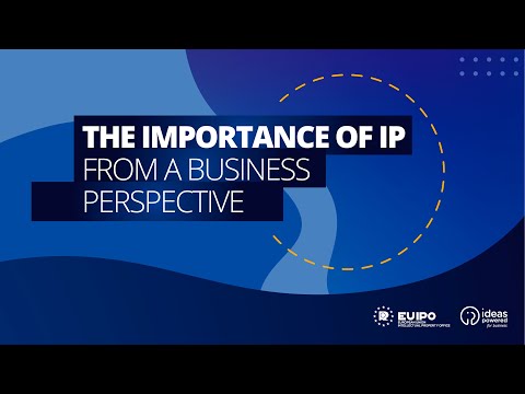 The importance of IP from a business perspective