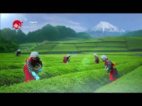 Japan Gourmet Heritage －Japanese Green Tea－