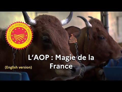 L&#039;AOP, magie de la France (English version)