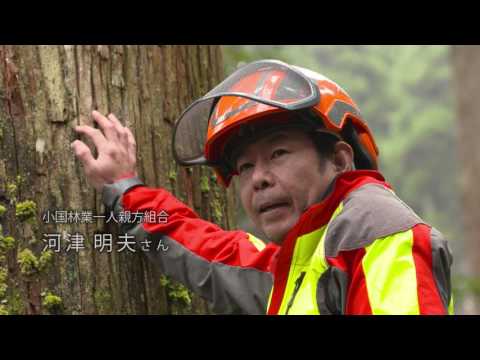 九州イイモノがたり「小国杉」