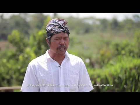 DJKI Indonesia - Produk Indikasi Geografis Kopi Kintamani