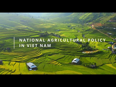 Role of PVP in supporting national agricultural policy in Viet Nam