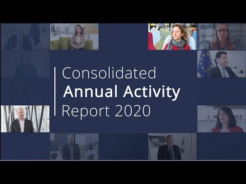 Annual Activity Report 2020