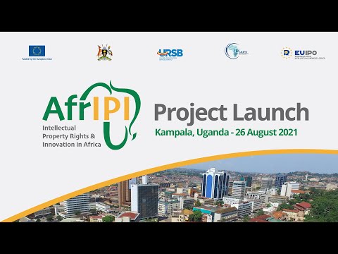 AfrIPI Presentation