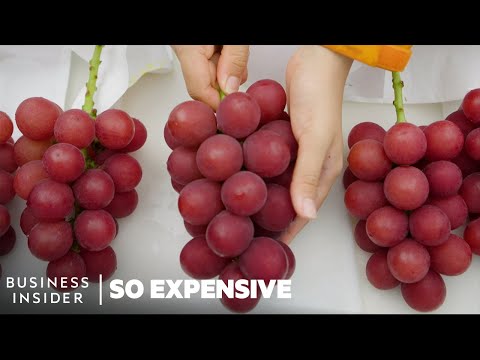 Why Japanese Ruby Roman Grapes Are So Expensive | So Expensive