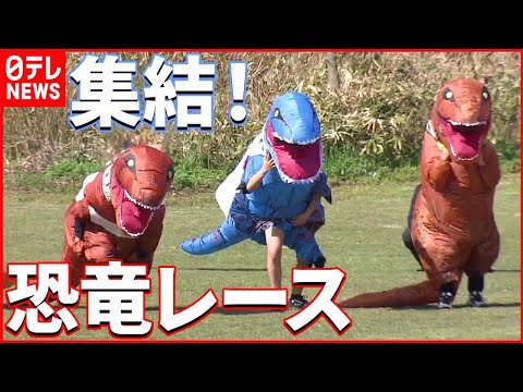【ティラノサウルス】鳥取県に集結 レース開催