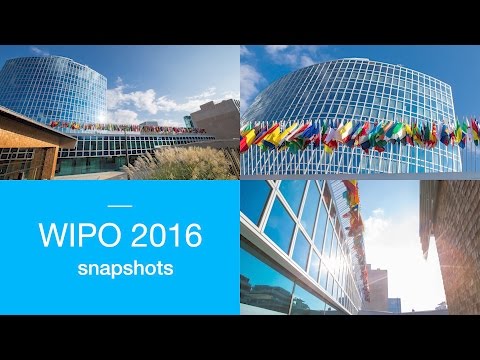 WIPO 2016: The Year in Images
