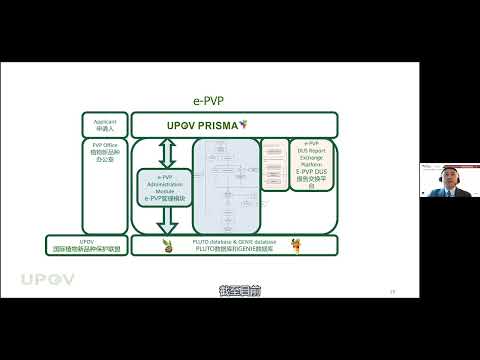 IP Key China - Development in digitalization (PRISMA and e-PVP)数字化发展（PRSIMA和e-PVP