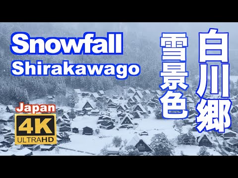 4K Snowfal of Shirakawago 白川郷の雪景色 2021 観光 日本の原風景 冬景色 降雪 Japan winter Snow scene 豪雪 観光 旅行