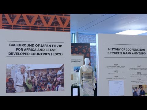 Africa Japan Night at WIPO