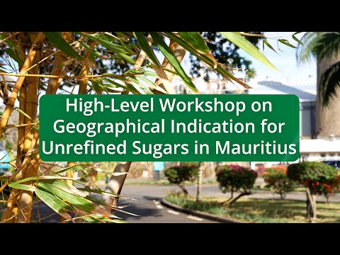 AfrIPI - High Level Workshop on Geographical Indication for Unrefined Sugars in Mauritius
