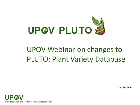 UPOV Webinar on changes to the PLUTO Plant Variety Database