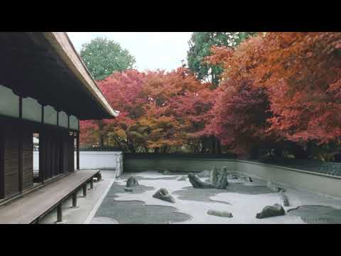 【TVCM】2025年 秋編（60秒） そうだ 京都、行こう。