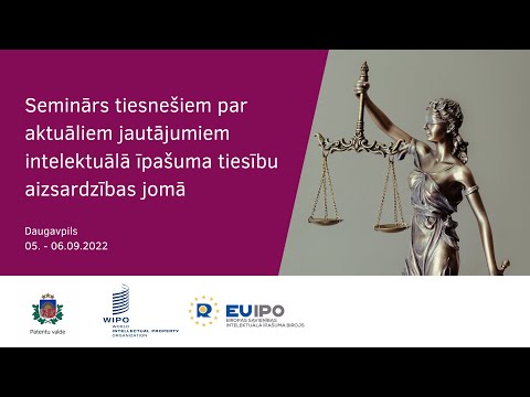 Dace Liberte - Seminārs tiesnešiem par aktuāliem jautājumiem IĪT aizsardzības jomā / 2022