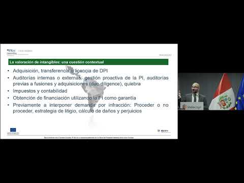 IPKEY LA -Seminarios itinerantes sobre la importancia de los DPI para las empresas (Panel 3)