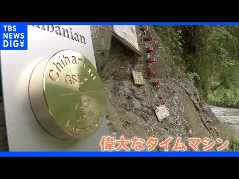 チバニアンの地層に金の杭 地球の謎を解くカギを秘めた地層とは｜TBS NEWS DIG