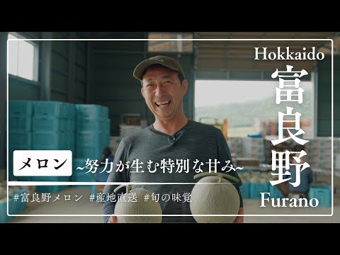 産直テーブル「北海道 富良野メロン」