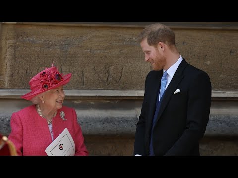Prince Harry &#039;will be begging to rejoin the royal family soon&#039;
