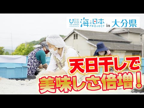 「豊後別府湾ちりめん」の美味しさの秘密を探ってみた 日本財団 海と日本PROJECT in 大分県 2021 #04