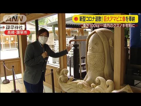 巨大300キロ　アマビエ像を神社に奉納　コロナ撃退(20/05/27)