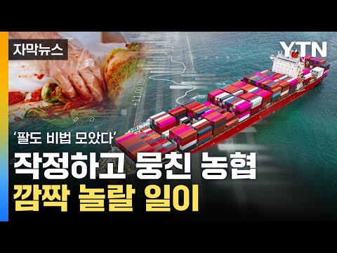 [자막뉴스] '한국산은 못 따라오지'...세계를 접수한 농협 / YTN