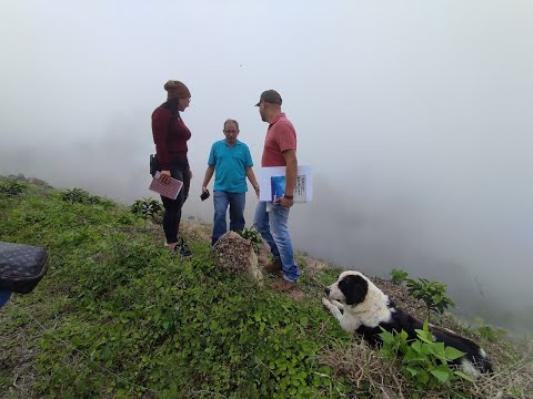 Mérida | Productores de café | Indicación Geográfica Protegida