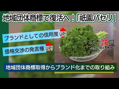 地域団体商標登録後も地道なPRでブランド化に成功！祇園パセリ #133