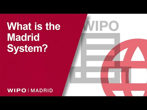 Explained: What is WIPO&#039;s Madrid System?