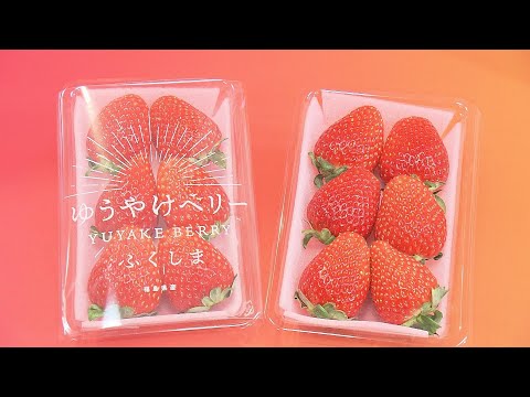 【解説】とちおとめ、あまおう…全国に300品種「ゆうやけベリー」はイチゴ戦国時代を勝ち抜けるのか！？