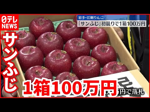 【100万円】「江刺りんご」初競り　1箱100万円も…