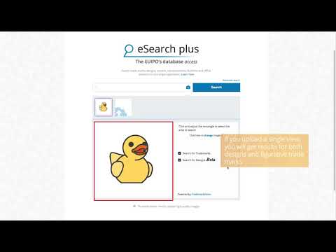 Discover the visual search for designs on eSearch plus