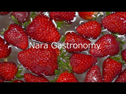&quot;Nara Gastronomy&quot; with English subtitles