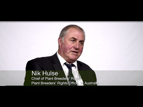 Nik Hulse, Chief of Plant Breeders' Rights, IP Australia (English)
