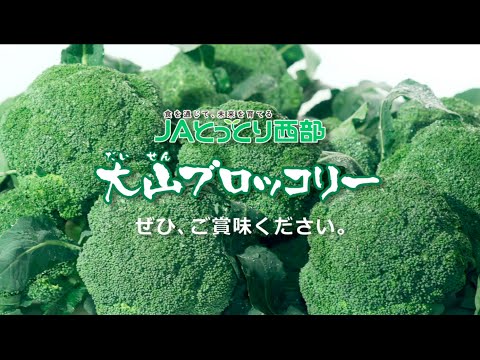 大山ブロッコリー「キラリとっとり大山ブロッコリー」JAとっとり西部 Daisen broccoli