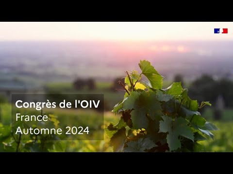 Congrès de l'organisation internationale de la vigne et du vin (OIV) à Dijon en 2024