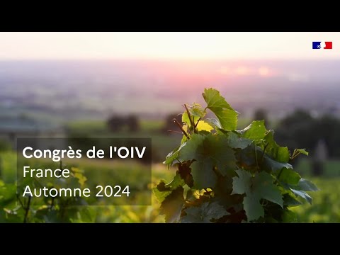 Congrès de l&#039;organisation internationale de la vigne et du vin (OIV) à Dijon en 2024